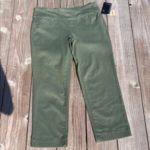 Style & Co. Light Olive Green Capri Pants